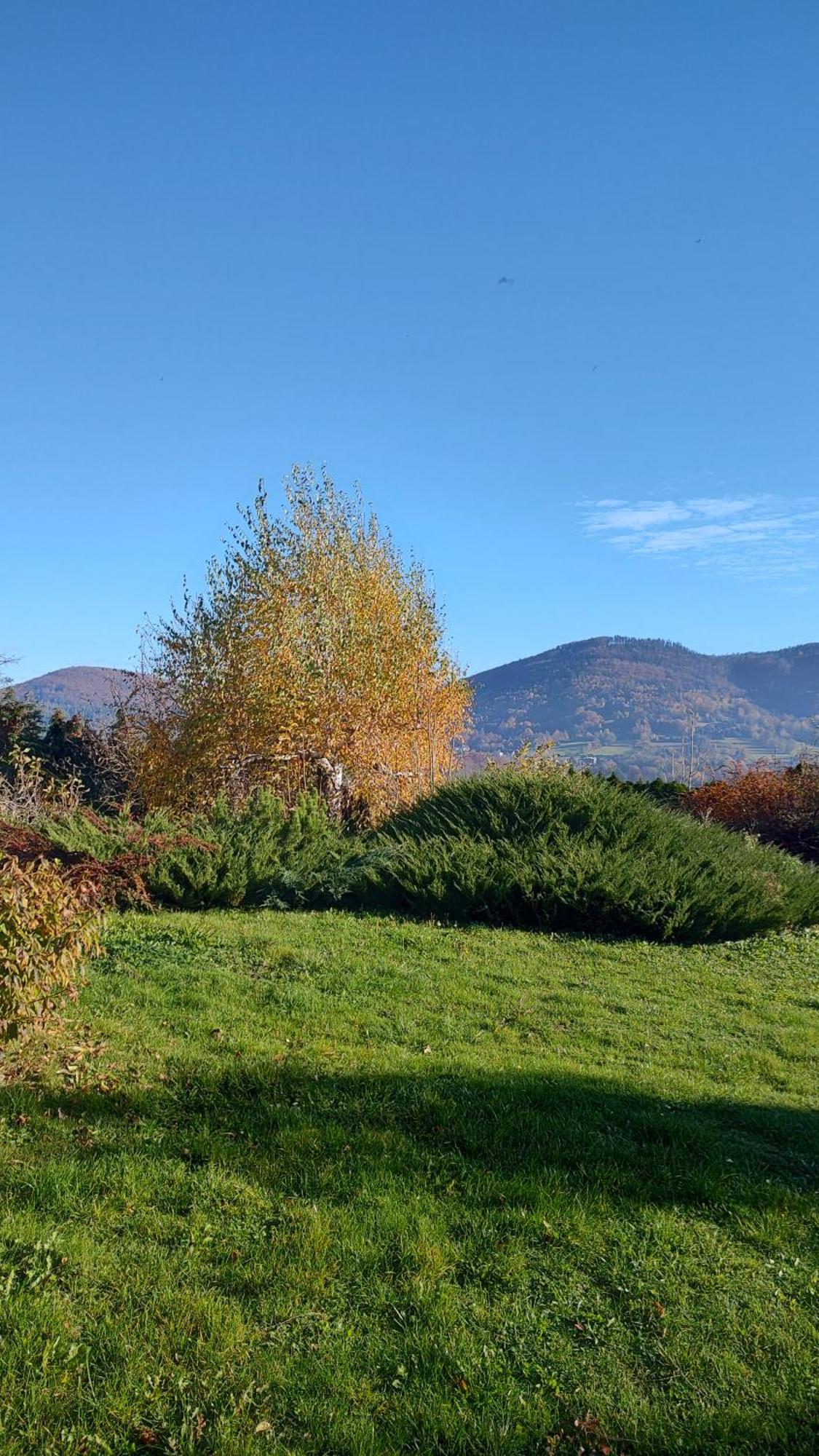 Dog Friendly Dom, Apartamenty Wichrowe Wzgorza Z Basenem Brenna Ustron Bagian luar foto