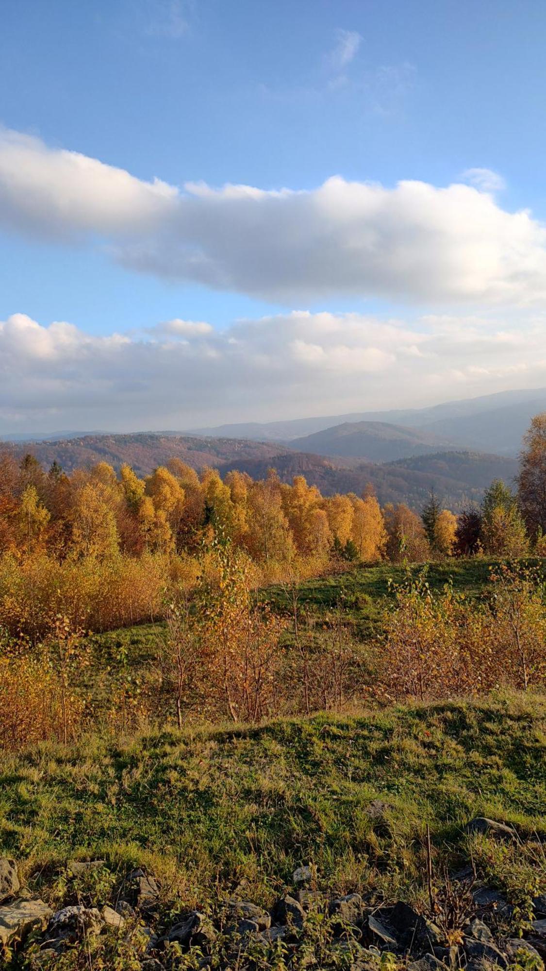 Dog Friendly Dom, Apartamenty Wichrowe Wzgorza Z Basenem Brenna Ustron Bagian luar foto