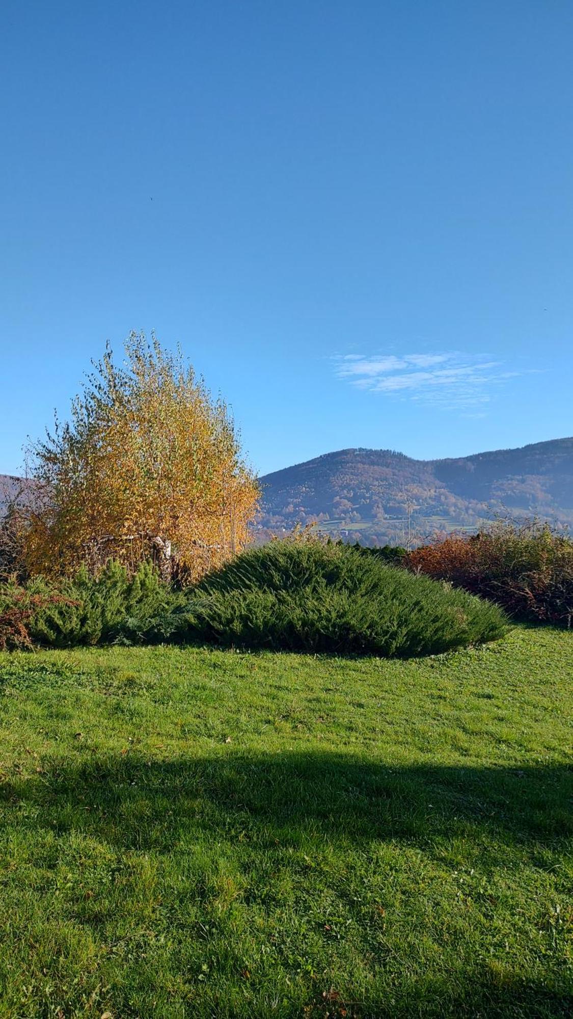 Dog Friendly Dom, Apartamenty Wichrowe Wzgorza Z Basenem Brenna Ustron Bagian luar foto